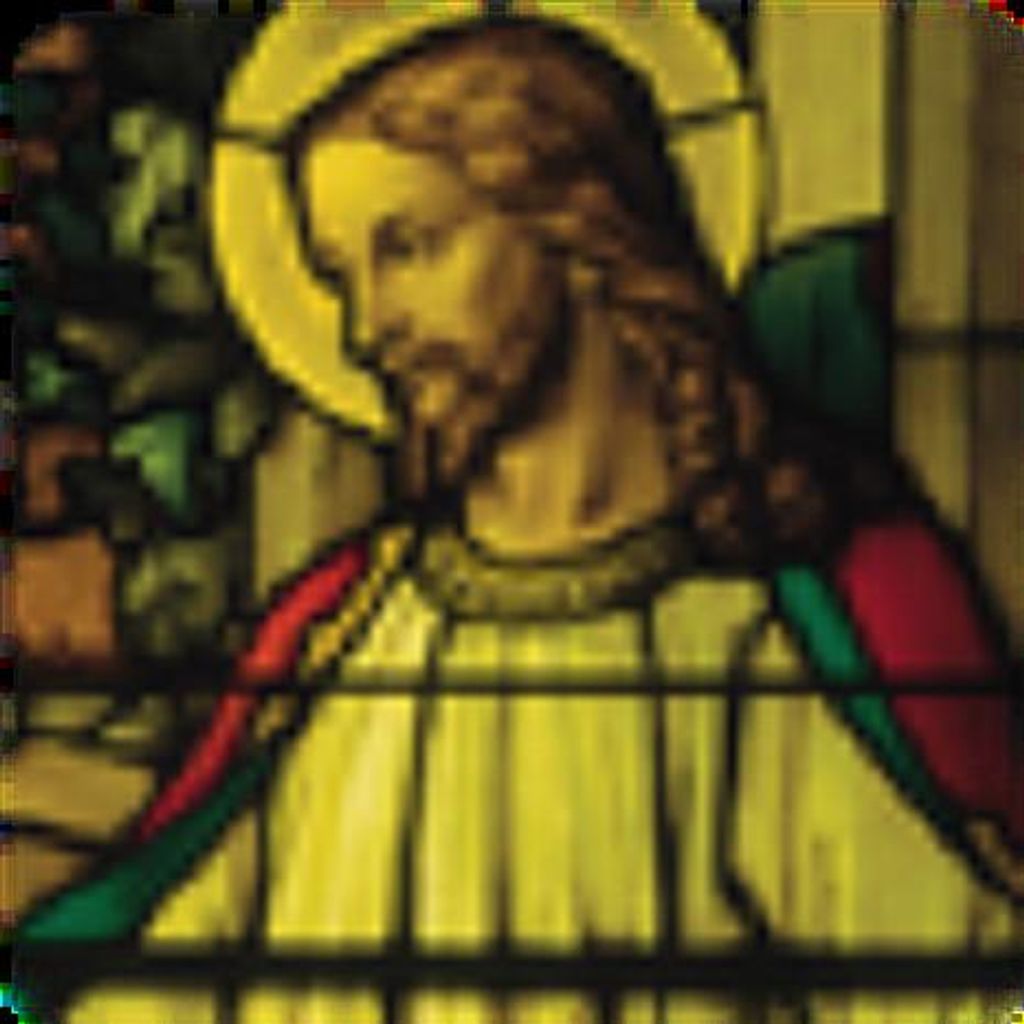 Rosa (Torres) Terrazas Profile Photo