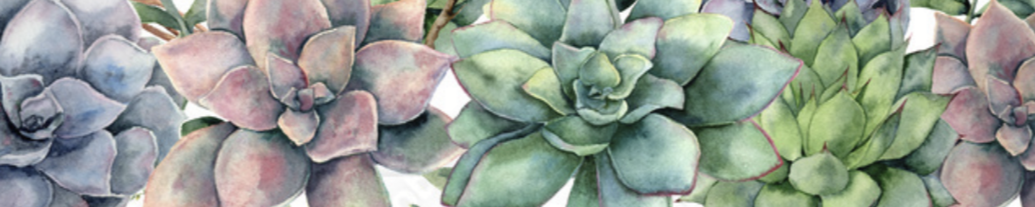 Cover photo for Sally Brace's Obituary