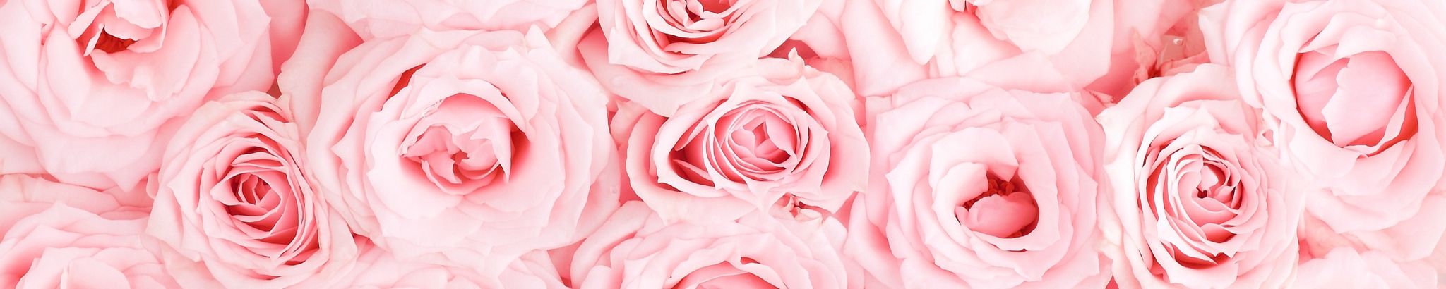 Cover for Ms. Odessa Clark's Obituary