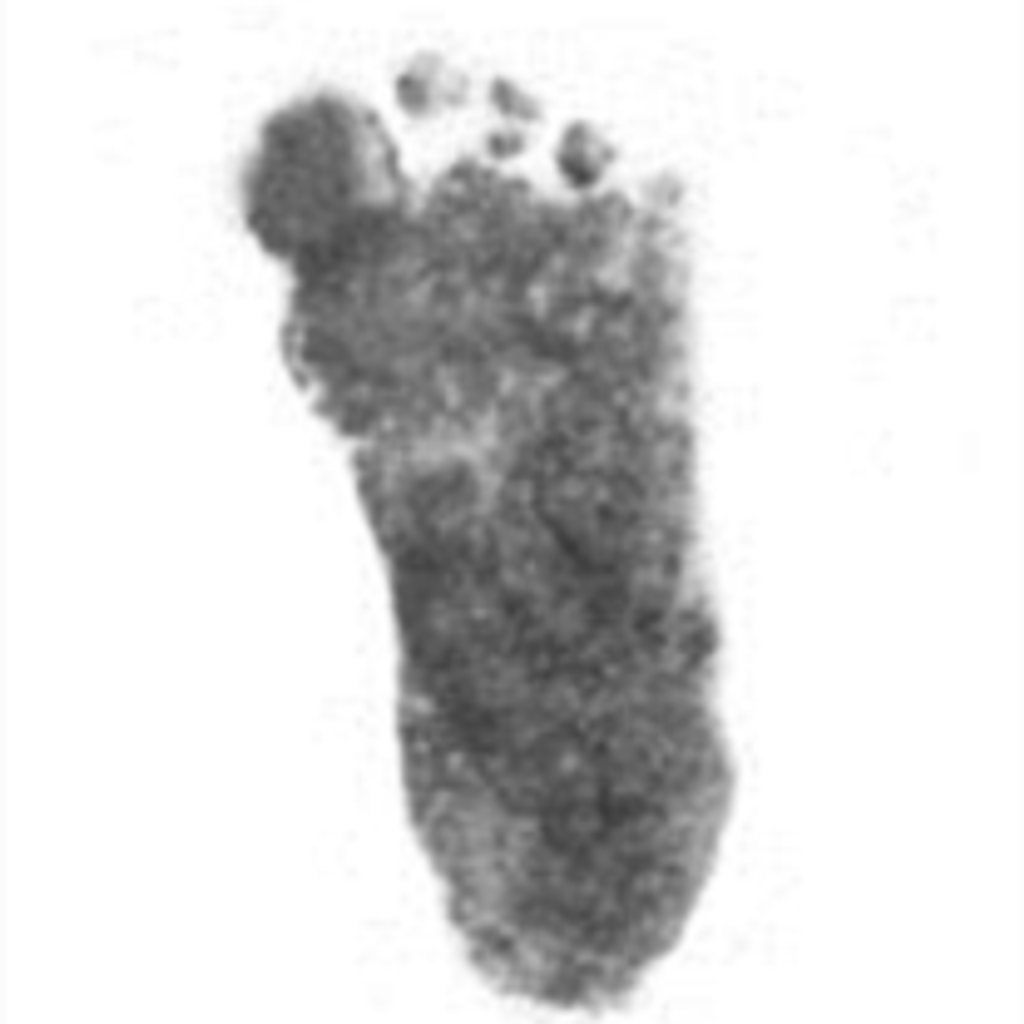 Ethan Lee Butz