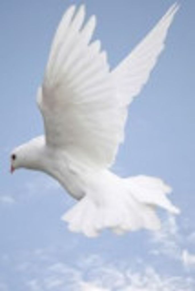 Decelle Smith Profile Photo