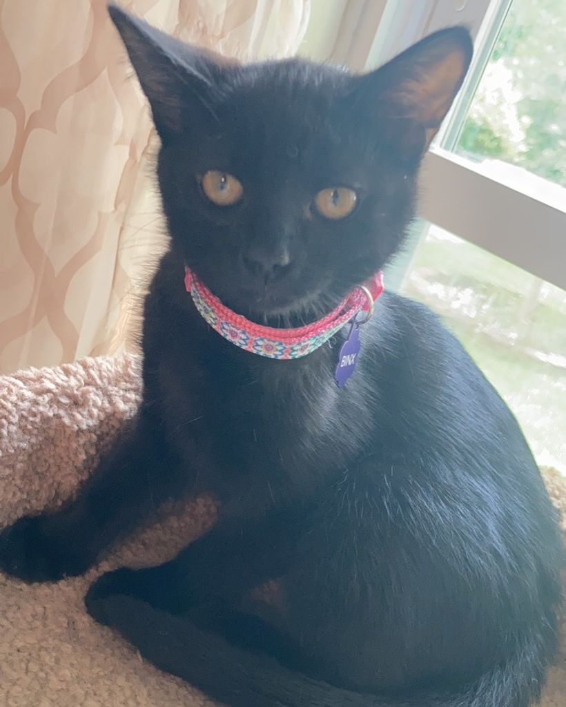 Binx Lyda
