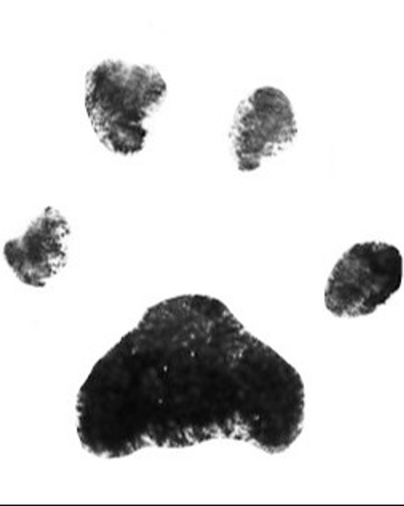 Lili Hedrick Profile Photo