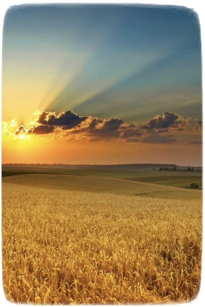 Pearl Smith Profile Photo