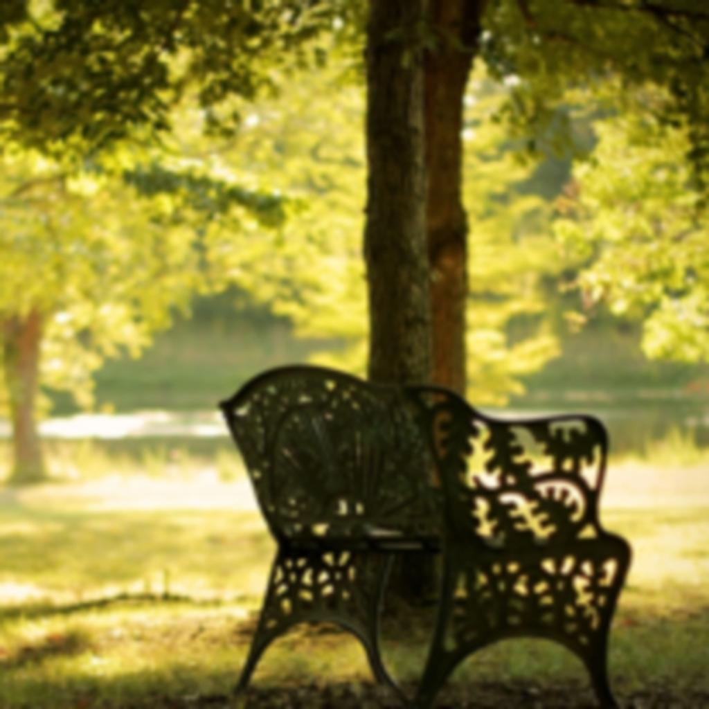 Nellie Johanna Church