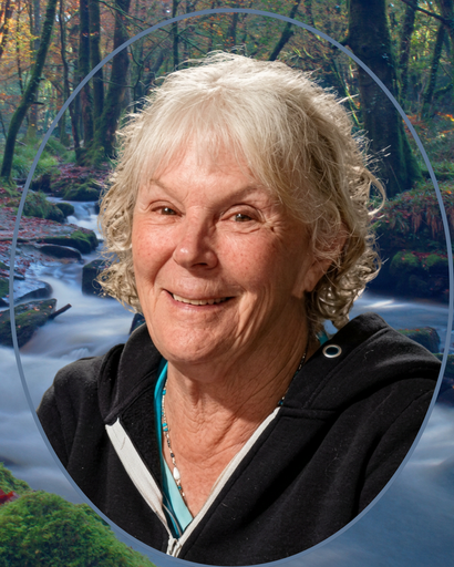 Deborah Ann Scarpelli's obituary image