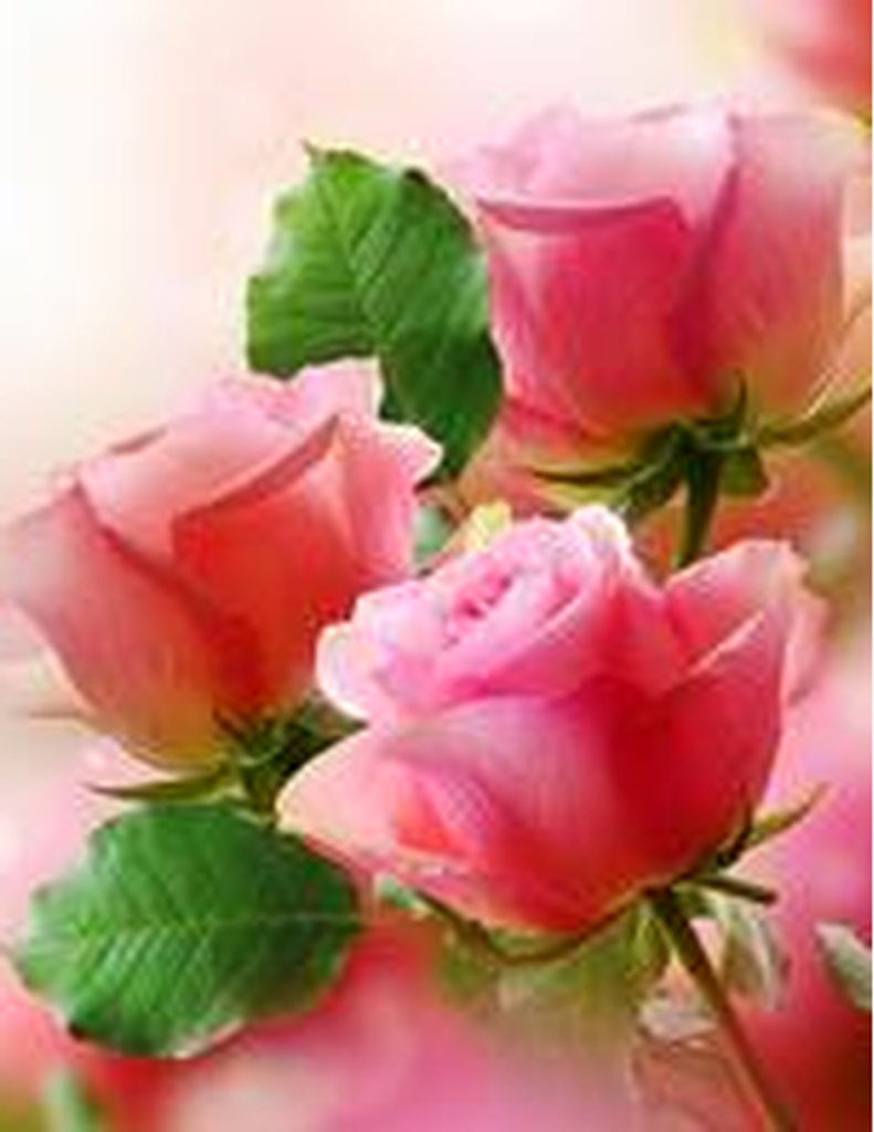 Loretta Carmody-Kennedy