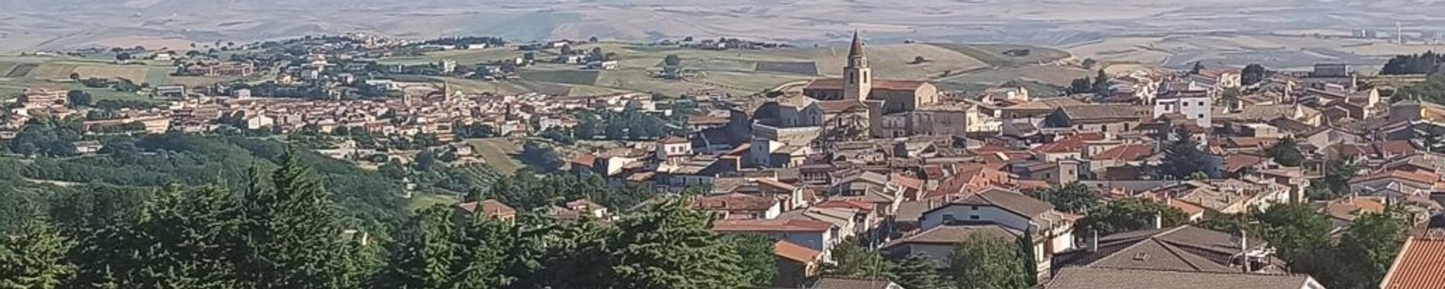 Cover for Michele Fratta's Obituary