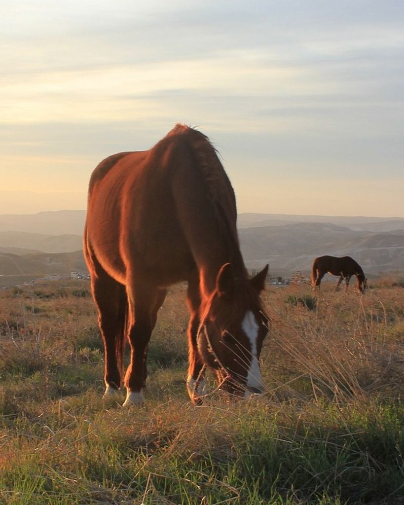 Theo John Bell Profile Photo