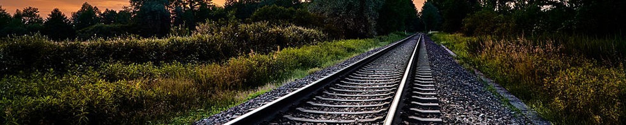 Cover for Donald "Don" P. Wassenberg's Obituary