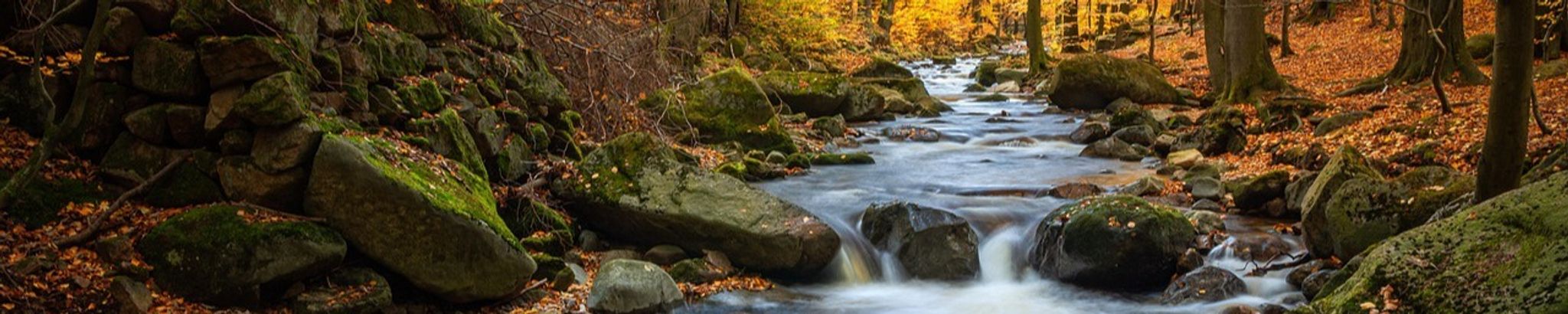 Cover for Howard E. Baumgartner's Obituary