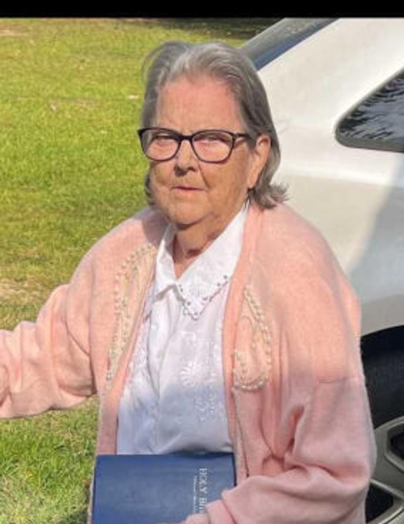 Julia Ann (Mcclung)  Johnson