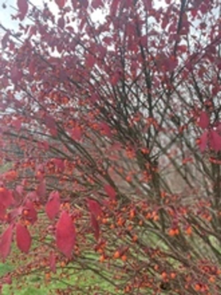 Fay D. Price Profile Photo