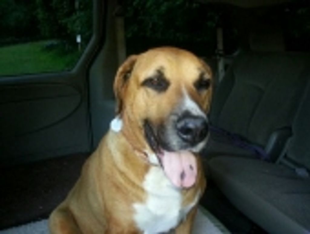 Raz Johnson Profile Photo