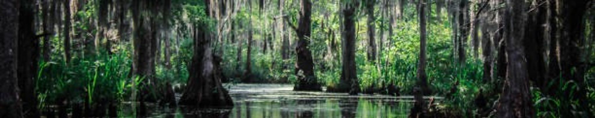 Cover for Pierre Henri DeBlanc's Obituary
