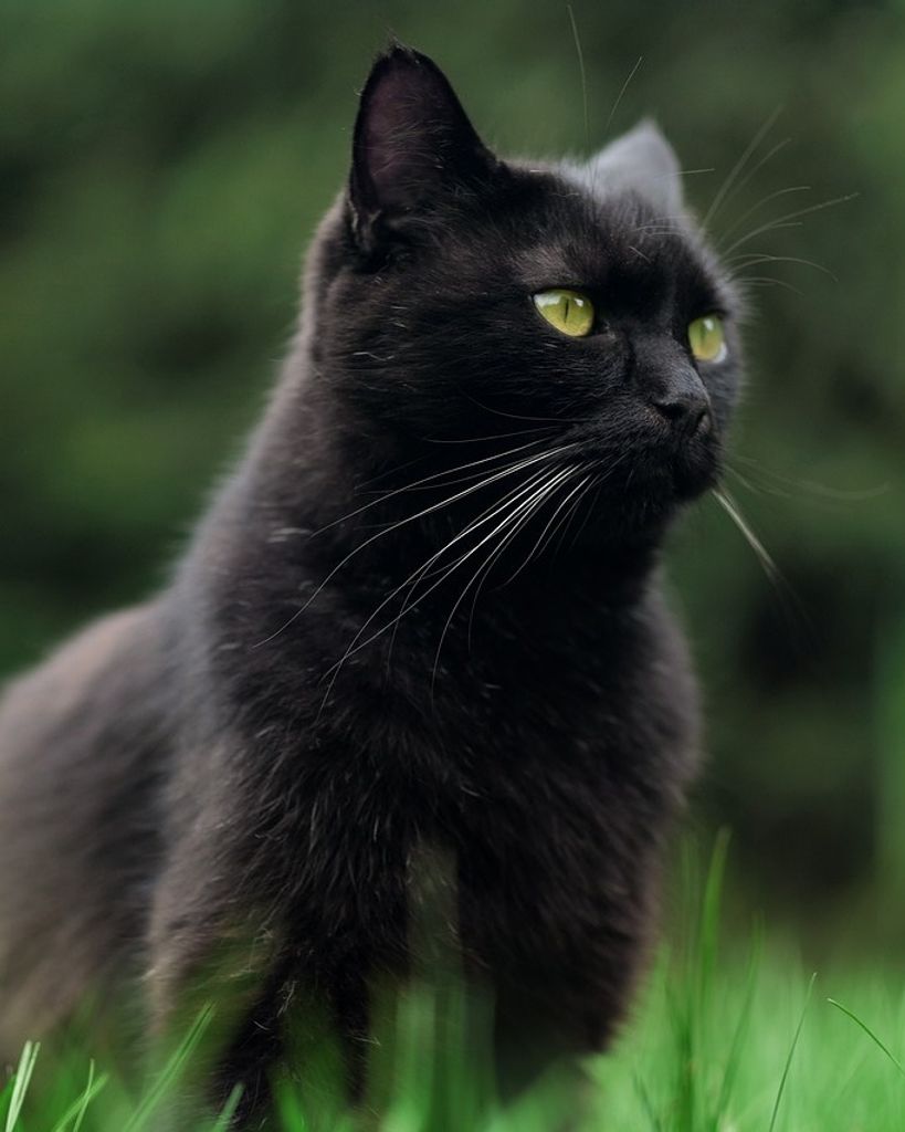 Thomas Vernon Salger