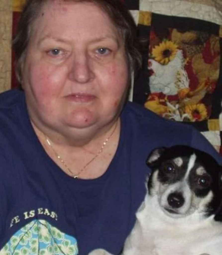 Dawn Ann Johnson