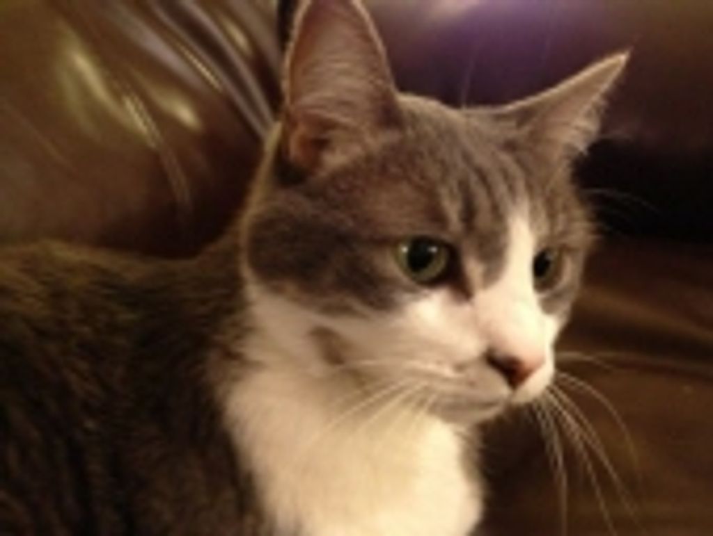 Oscar Freeman Profile Photo