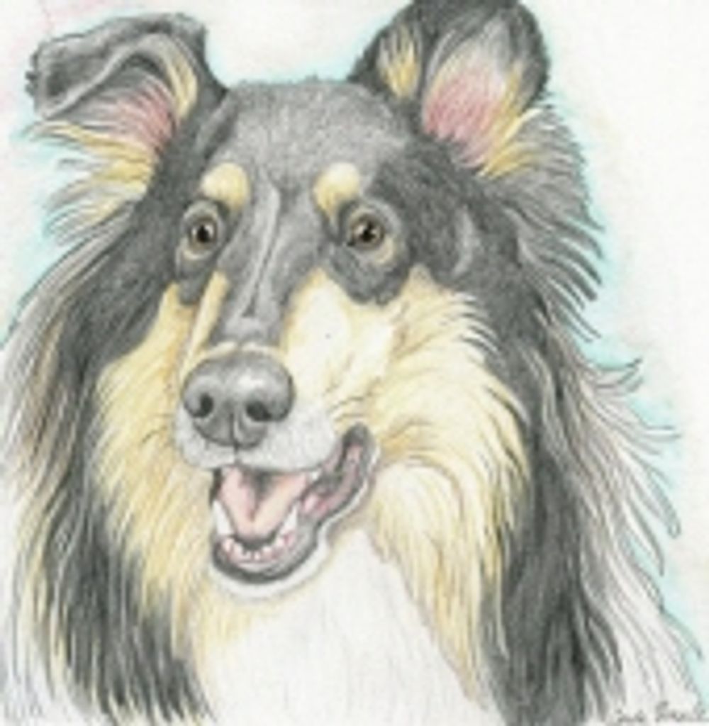 Lady Richards Profile Photo