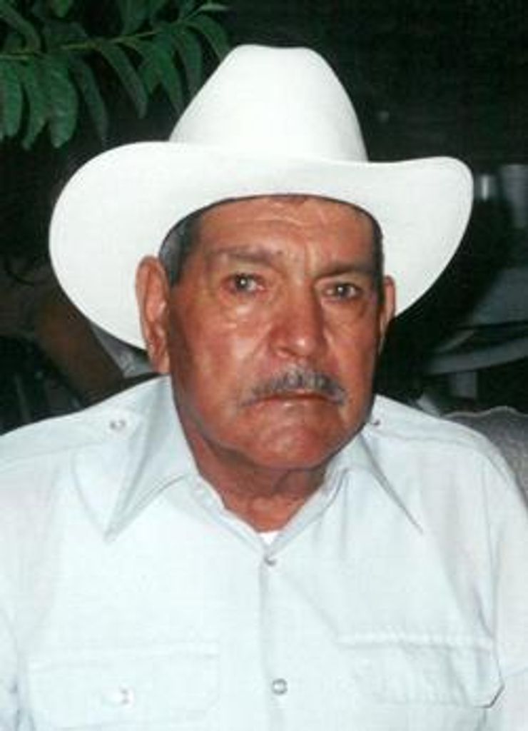 Sebastian Cardenas Profile Photo