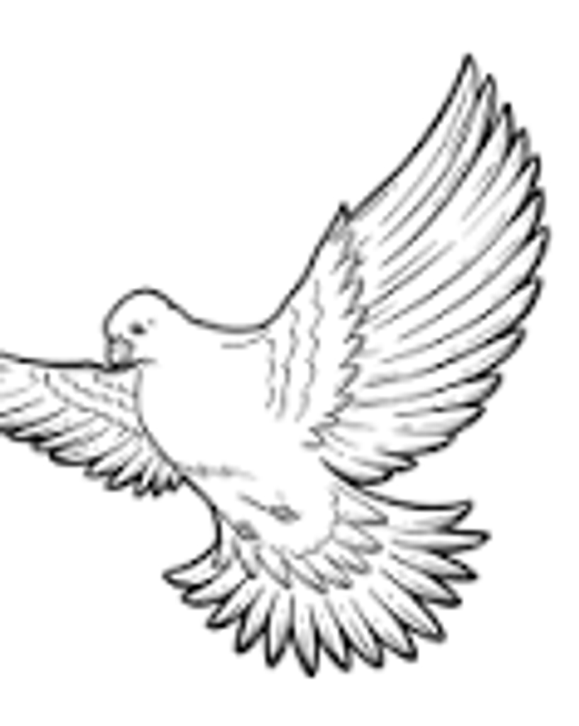 Debora Herring Profile Photo