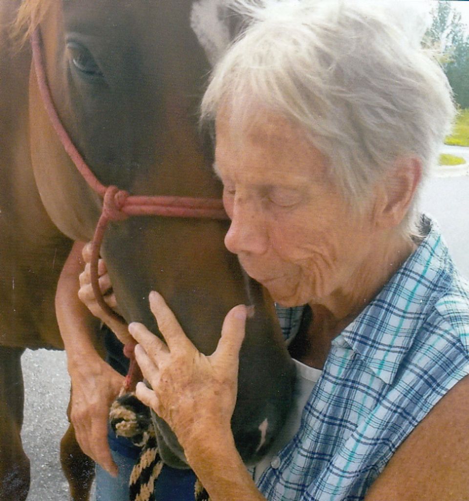 Carolyn Nancy (Brown)  Schoebel