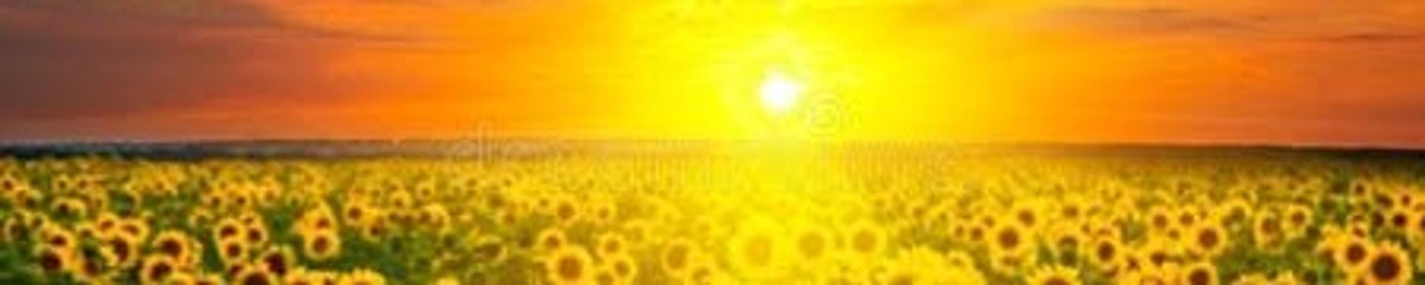 Cover for Terri Lynn Pruitt's Obituary