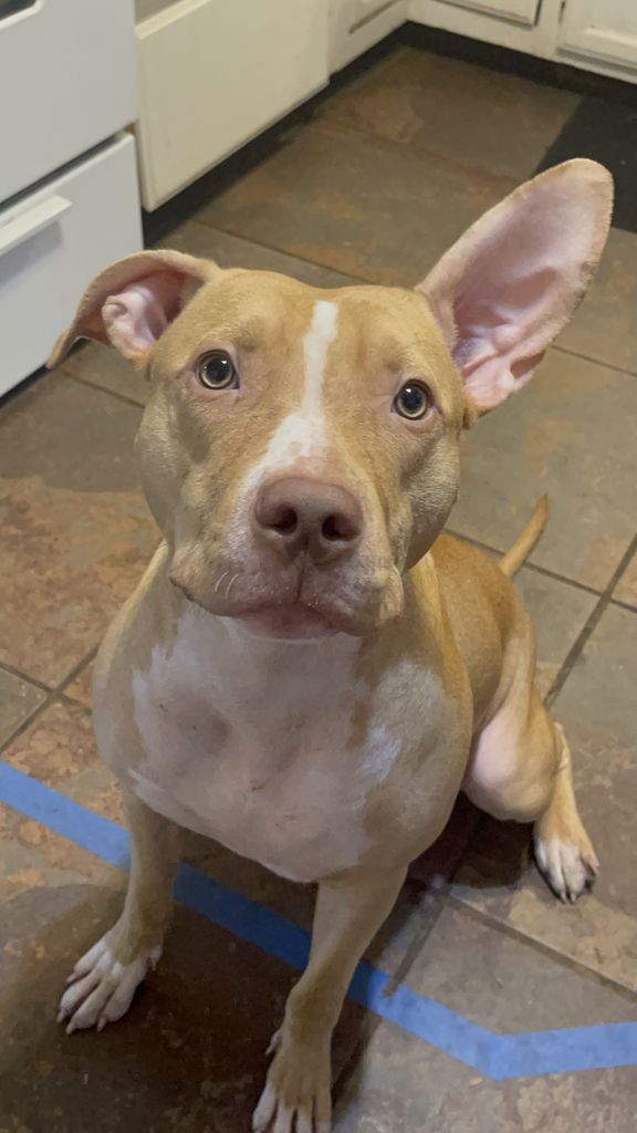 Iris Marie Profile Photo