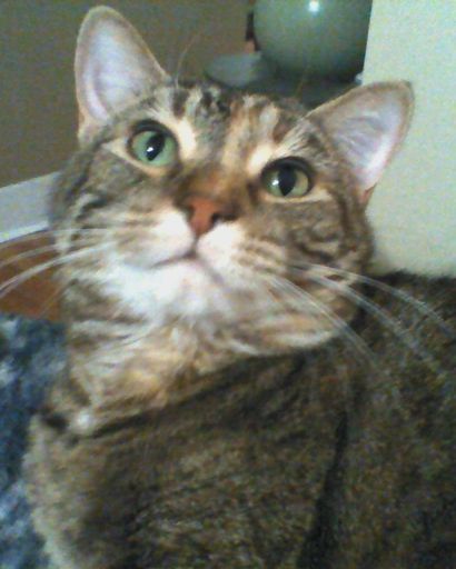 Angel Face Brickey-Melroy's obituary image