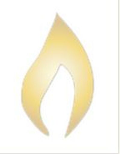 Amir S. Baradaran Profile Photo