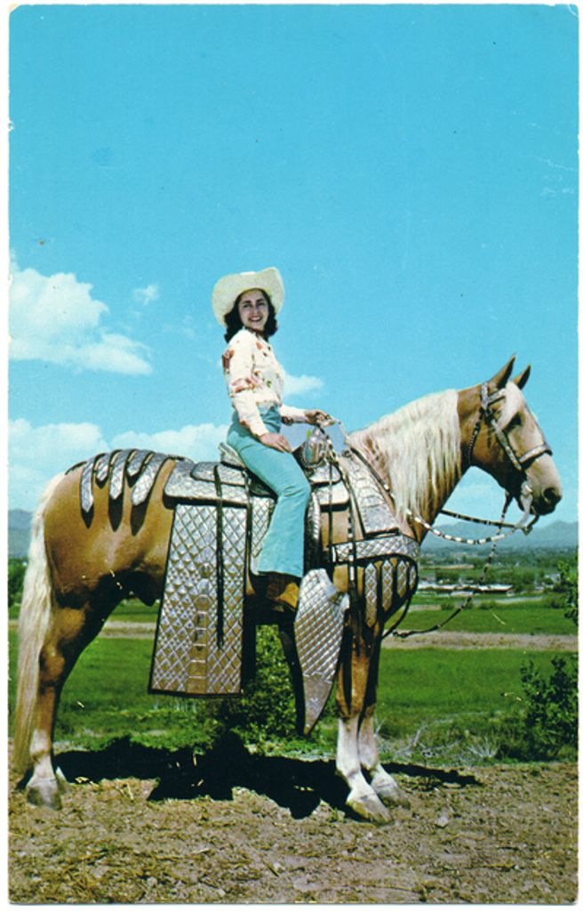 Sheila Brundridge, Christy Profile Photo