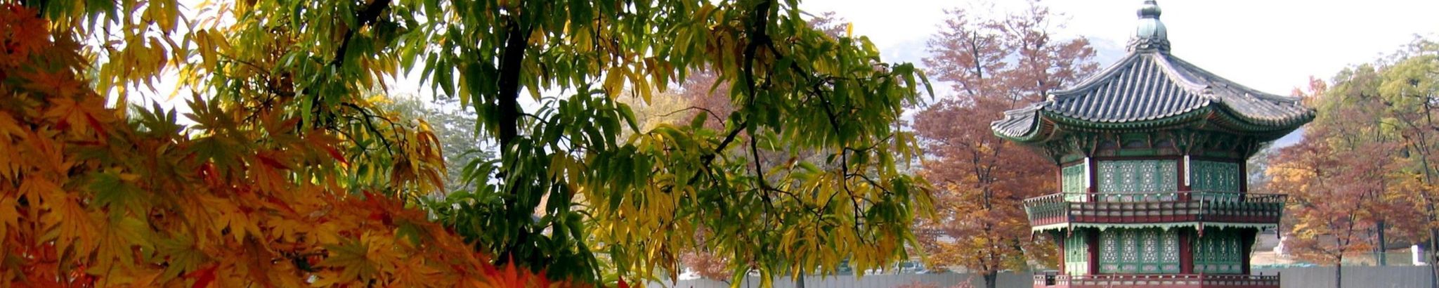 Cover photo for Kyong Cha "Peppi" Walton's Obituary