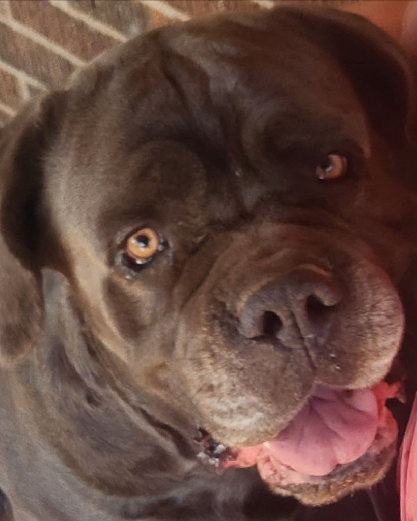 Lady Gray Garcia Profile Photo