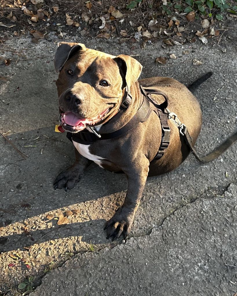 Dipsy Baker Profile Photo