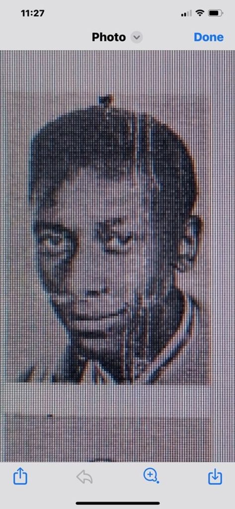 William Brownridge Profile Photo