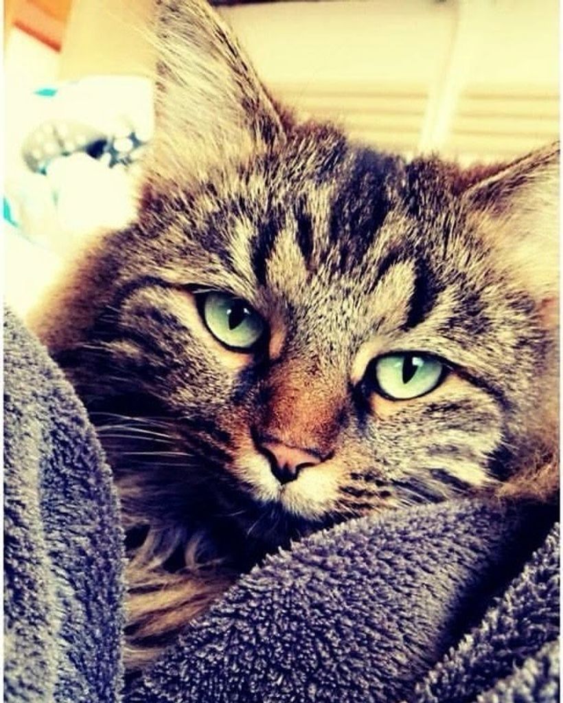 Ripley Broering Profile Photo