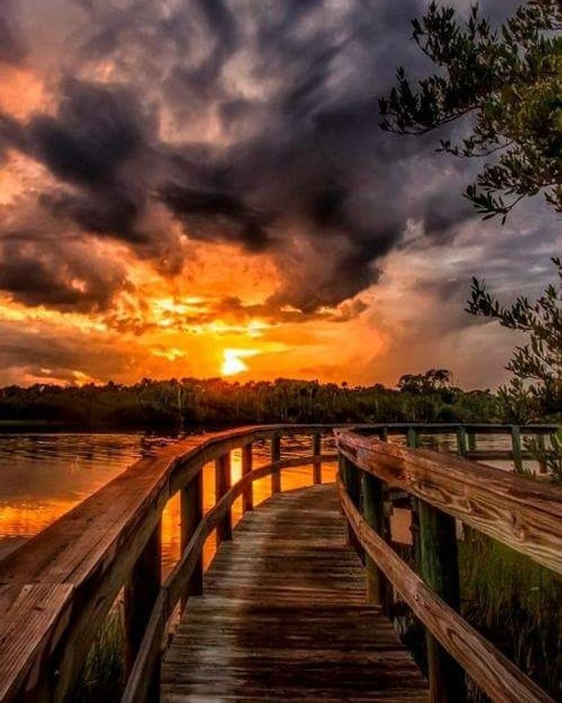 Wilfred Albert Stringer Profile Photo