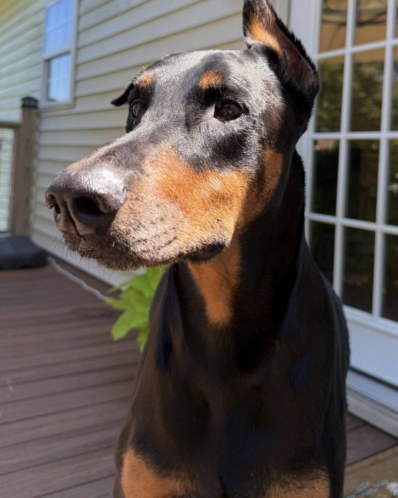 Theodore Godfrey Profile Photo