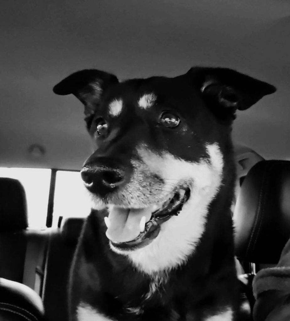 Miss Allie May Profile Photo