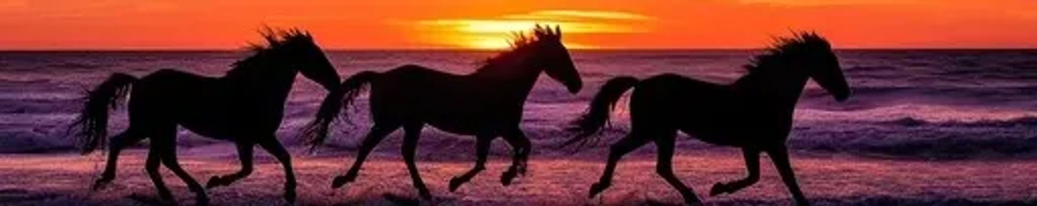 Cover photo for Kiersten Waldroupe's Obituary