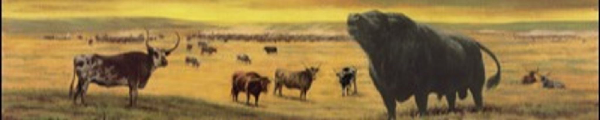 Cover for Fred C. Good's Obituary