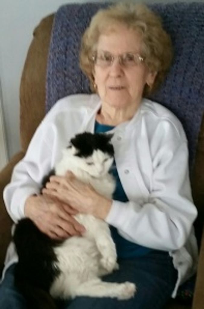 Eleanor D. Maniscalco Profile Photo