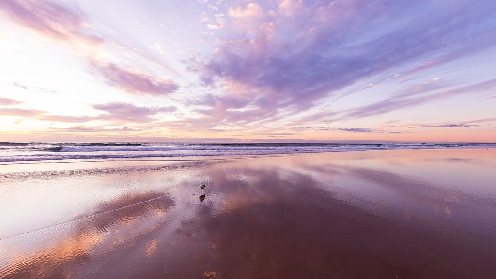 Danny Johnston Profile Photo