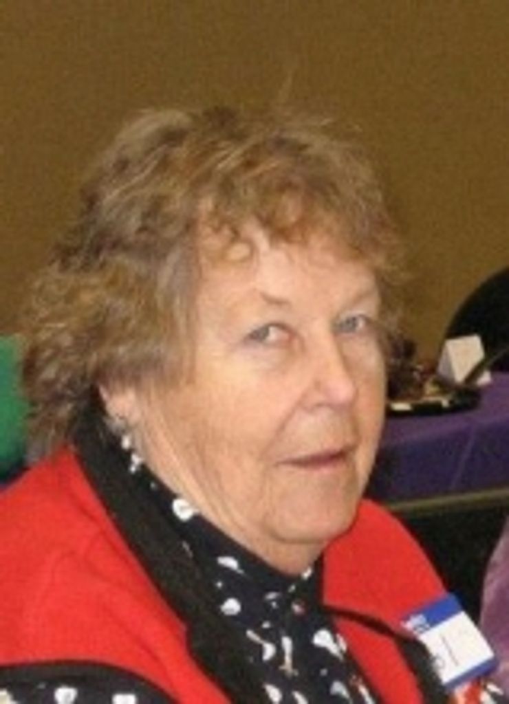 Carol R. Chapin