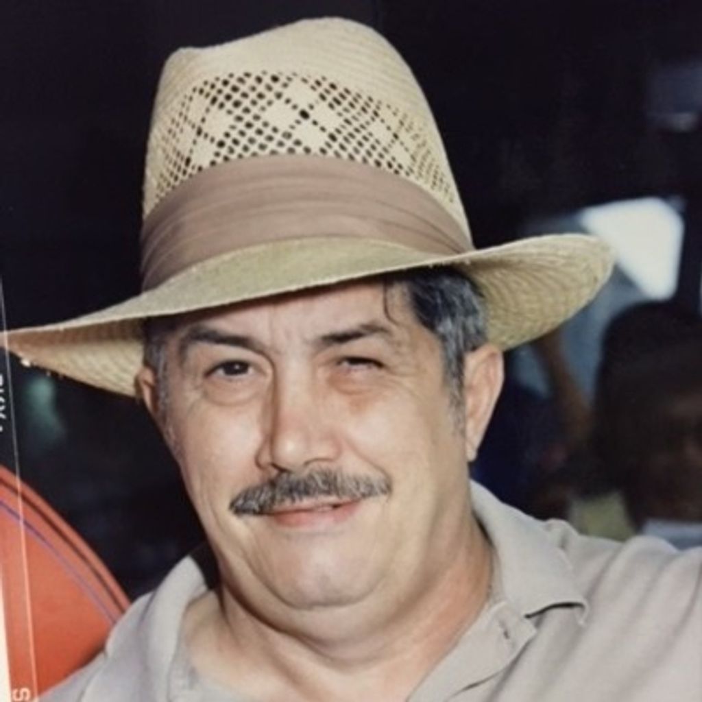 Mr Peter P Stolfi Profile Photo