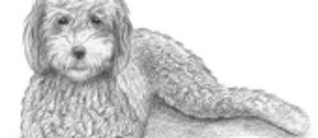 Tucker Zwemer Profile Photo