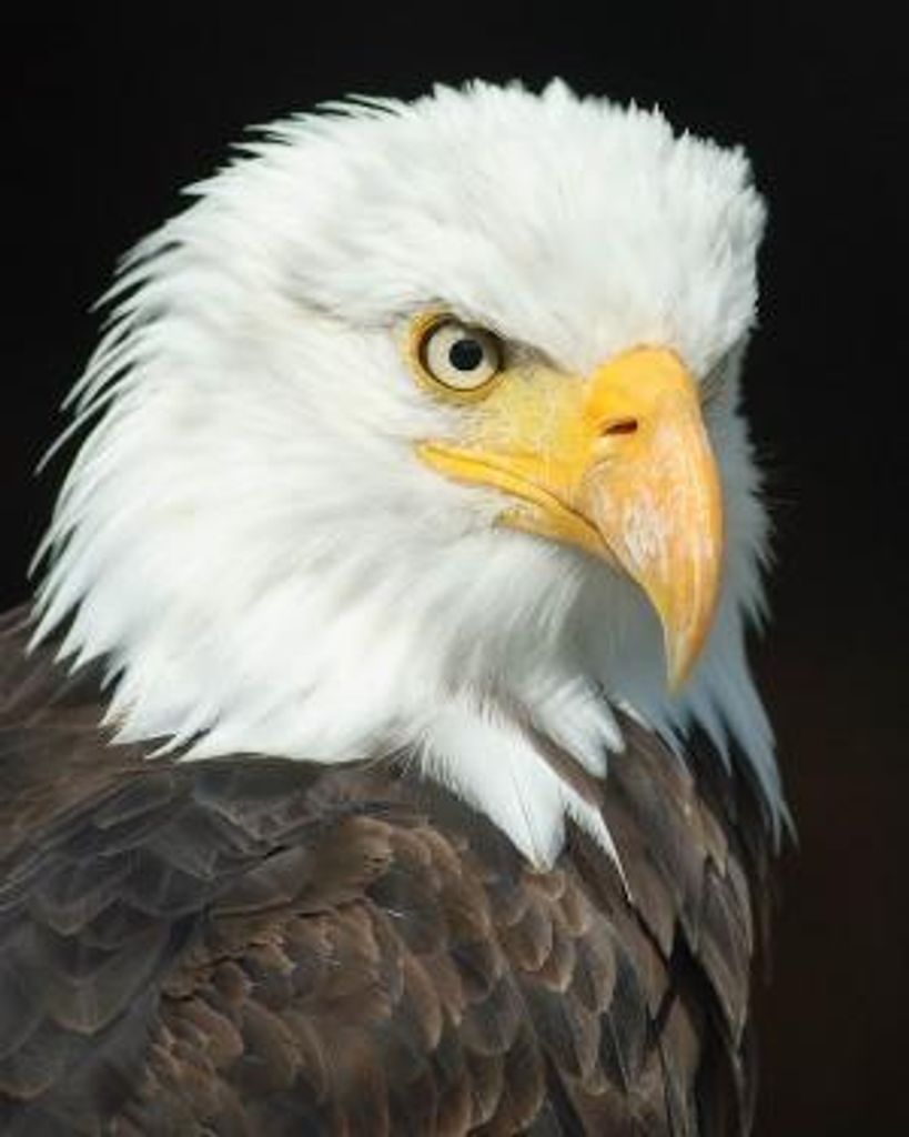 Terence M Holzwarth Profile Photo