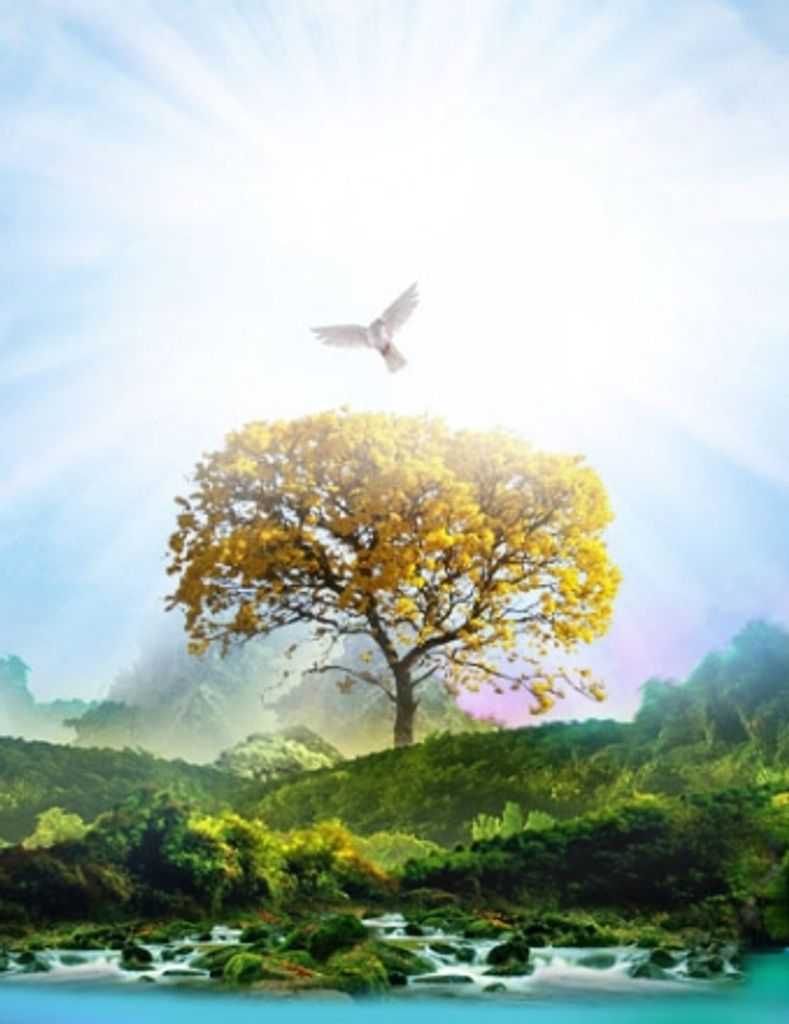 Christine  Lynn East Profile Photo