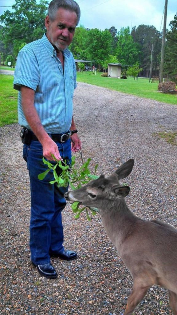 Joe Warren Morrow Profile Photo