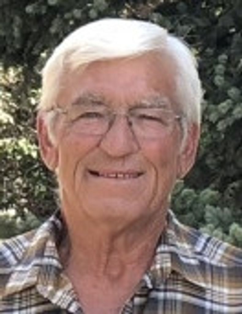 Patrick Henry Schaffner